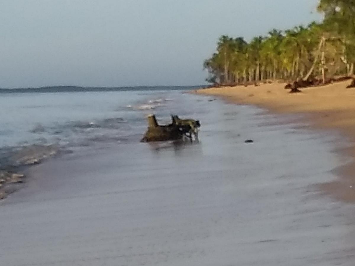 Pousada Das Sereias Caravelas Zewnętrze zdjęcie